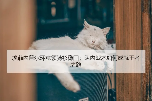 埃菲内普尔环意领骑衫稳固：队内战术如何成就王者之路